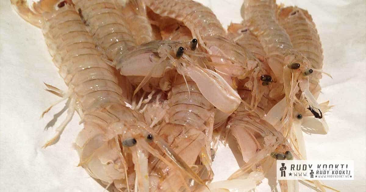 De mantis garnaal, een bijzonder schaaldiertje